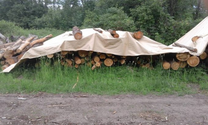 Specialiu popieriumi dengiama mediena tampa kliūtimi ir kinivarpoms. V.Šarkambiškio nuotr. 