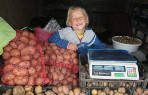 Paklausta, ar padeda tėčiui auginti bulves, aštuonerių Smiltė Aleksiejūtė nusišypso ir išpyškina: „Padedu: kai tėtis su mama dirba, aš dviračiu važinėju aplink lauką.“ A. Mackuvienės nuotr.