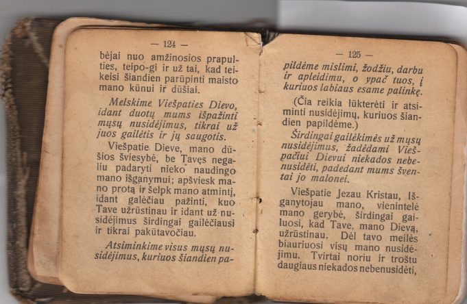 Iš pirmo žvilgsnio atrodytų, kad čia pateikiama detali išpažinties instrukcija: su maldomis bei patarimais. Iš tiesų tai vakarinė malda: detali, su apmąstymais ir gailesčiu dėl nuodėmių, padarytų per dieną. 