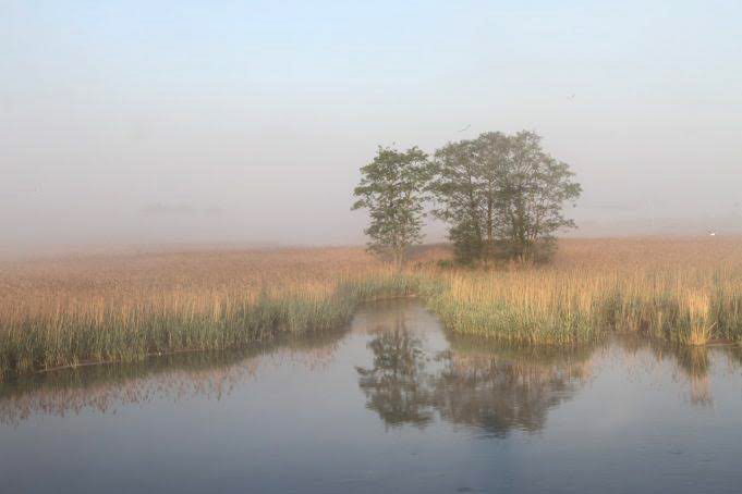 Benjaminas Sakalauskas (gim. 1955 m.) „Laikui bėgant, norisi vis daugiau patirti kitokių, naujų įspūdžių, labiau suprasti jau girdėtus paslaptingus miško garsus ar paprasčiausiai grožėtis gamta“. 