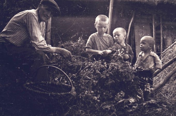 Algimanto Alfonso Stakėno nuotr.