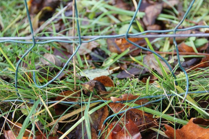 Pro tokią skylę gulbiukui pralįsti vienas juokas.