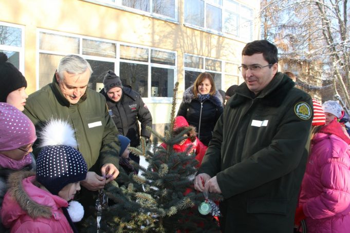 Dovanotą eglutę miškininkai papuošė kankorėžiais.