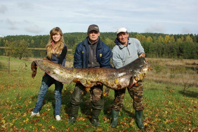 Prieš pora metų Sartų ežere A. Budzilavičiaus sugautas 54 kg šamas. Nuotraukoje pozuoja (iš kairės): Gabija Deksnytė