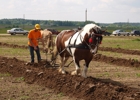 пахать землю толкование снов. Shudgor texnikalar. вспашка культивация дискование. сонник пахать землю. плуг для лошади.