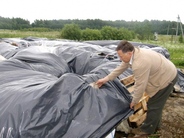 Baušiškių kaimo atviroje vietoje  maišuose sukrautus pavojingus pesticidus vakar polietilenu nuo lietaus dangstė Kamajų seniūnas Vytautas Vilys. Anot jo