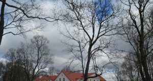 Ilzenbergas
