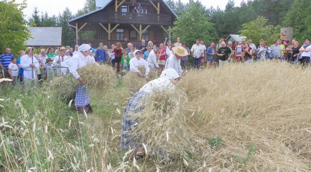 Liepos 25-ąją stovyklautojai kartu su Lenkijos lietuviais dalyvavo Šv. Onos šventėje: stebėjo